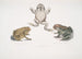 et krybdyr med skællet næse, Bufo carinatus 2 2a Tvivlsomt padde, Bufo dubius, Bengalen - John Edward Gray — visning af kunstværket