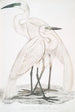 Héron blanc pur Ardea modesta 2 Héron à bec noir Ardea nigrirostris - John Edward Gray — visning af kunstværket
