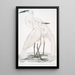 Héron blanc pur Ardea modesta 2 Héron à bec noir Ardea nigrirostris - John Edward Gray — indrammet kunstværk på væggen