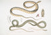 Coluber ventromaculatis 2 Serpent d'arbre de Bell Ahtula Bellii - John Edward Gray — visning af kunstværket
