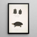 Tortue tachetée Emys Guttata Emys Hamiltonii 2 Tortue à cou épais Emys crassicollis - John Edward Gray — indrammet kunstværk på væggen