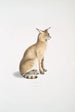 Chat allié Felis affinis - John Edward Gray — visning af kunstværket