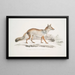 Renard Bengal Canis Vulpes Bengalensis Canis Kokree - John Edward Gray — indrammet kunstværk på væggen