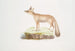 Renard du Doab Canis Vulpes rufescens hun - John Edward Gray — visning af kunstværket
