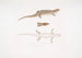 Tiliqua à tre striber Tiliqua trivittata - John Edward Gray — visning af kunstværket