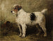 Terrier i en have - John Emms — visning af kunstværket