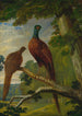 En hanefugl han og hun - John Frederick Herring den Ældre — visning af kunstværket