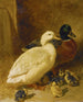 Canards et canetons - John Frederick Herring l'Ancien — visning af kunstværket