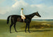 Le Cheval de course bai foncé de M. O'Brien, Jonathan Wild, med jockey T. Ryder - John Frederick Herring den Ældre — visning af kunstværket