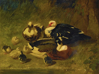 John Frederick Herring Snr - Muscovy Ducks And Ducklings.webp
