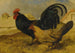 Les Fermiers de la cour - John Frederick Herring l'Ancien — visning af kunstværket