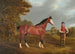 Le cheval de course Whiteface med J Gilham - John Frederick Herring den Ældre — visning af kunstværket