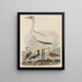 Louisianahøne, østershøne, stork, cirkel og langnæbbet vadefugl - John G. Warnicke — indrammet kunstværk på væggen