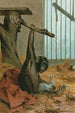 Chimpanzé - John George Wood — visning af kunstværket