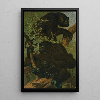 John George Wood - Gorilla.webp