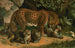Leopard - John George Wood — visning af kunstværket