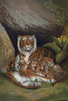 Tigre - John George Wood — visning af kunstværket