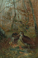 Bécasse - John George Wood — visning af kunstværket