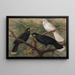 Trois huia Heteralocha acutirostris - John Gerrard Keulemans — indrammet kunstværk på væggen