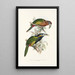 En monografi af Ramphastidae eller toucanfamilien Pl21 - John Gould — indrammet kunstværk på væggen