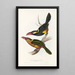 En monografi af Ramphastidae eller toucanfamilien Pl22 - John Gould — indrammet kunstværk på væggen