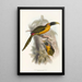 En monografi af Ramphastidae eller toucanfamilien Pl28 - John Gould — indrammet kunstværk på væggen