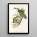 En monografi af Ramphastidae eller toucanfamilien Pl29 - John Gould — indrammet kunstværk på væggen