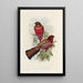 En monografi af Trogonidae eller familie af trogons Pl47 - John Gould — indrammet kunstværk på væggen