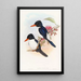 Martin-pêcheur à tête noire - John Gould — indrammet kunstværk på væggen