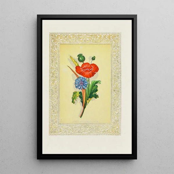 John Henry Ingram - Poppy and Cornflower.webp