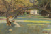 maleriet Le Domaine Havens, Piedmont, Californien - John Herbert Evelyn Partington — visning af kunstværket