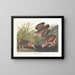 Bécasse d'Amérique - John James Audubon — indrammet kunstværk på væggen