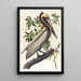 Pélican brun Pelecanus fuscus - John James Audubon — indrammet kunstværk på væggen
