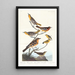 Oriole de Bullock, Oriole de Baltimore, Chardonneret mexicain, Grive variée, Grive des ruisseaux - John James Audubon — indrammet kunstværk på væggen