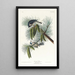 Mésange huppée - John James Audubon — indrammet kunstværk på væggen