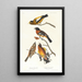 Gros-bec du soir, Gros-bec tacheté - John James Audubon — indrammet kunstværk på væggen