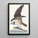 Balbuzard pêcheur - John James Audubon — indrammet kunstværk på væggen