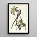 Tyran à longue queue - John James Audubon — indrammet kunstværk på væggen