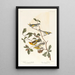 Paruline à ailes dorées - John James Audubon — indrammet kunstværk på væggen