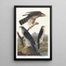 omkring duehønsene - John James Audubon — indrammet kunstværk på væggen
