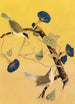 Parulines du Maryland - John James Audubon — visning af kunstværket