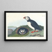 Macareux - John James Audubon — indrammet kunstværk på væggen