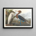 Héron pourpré - John James Audubon — indrammet kunstværk på væggen