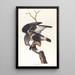 Faucon à pattes rugueuses - John James Audubon — indrammet kunstværk på væggen