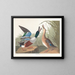 Andefjerning - John James Audubon — indrammet kunstværk på væggen