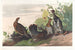 Gélinotte tachetée - John James Audubon — visning af kunstværket