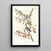 Reproduktion af maleriet Bruant des arbres - John James Audubon