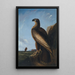 Aigle de mer de Washington - John James Audubon — indrammet kunstværk på væggen