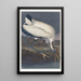 Ibis des bois - John James Audubon — indrammet kunstværk på væggen