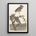 Héron couronné - John James Audubon — indrammet kunstværk på væggen